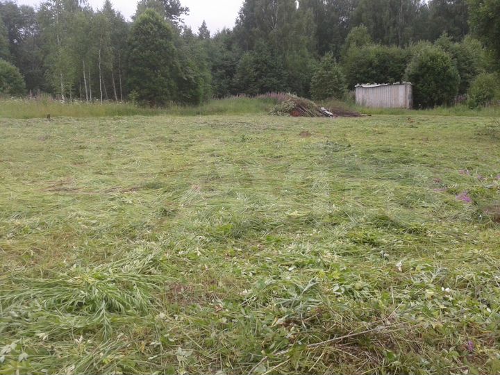 Участок 10 сот. (СНТ, ДНП)