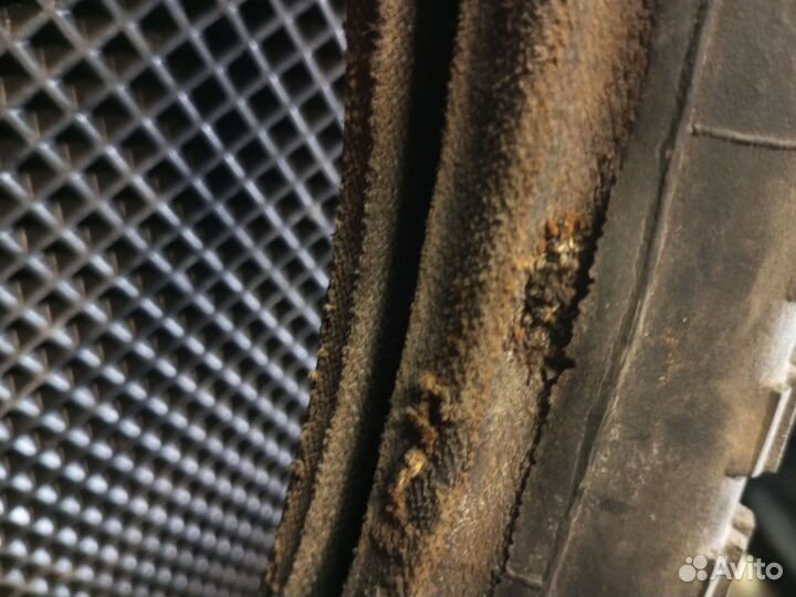 Покрышка минск