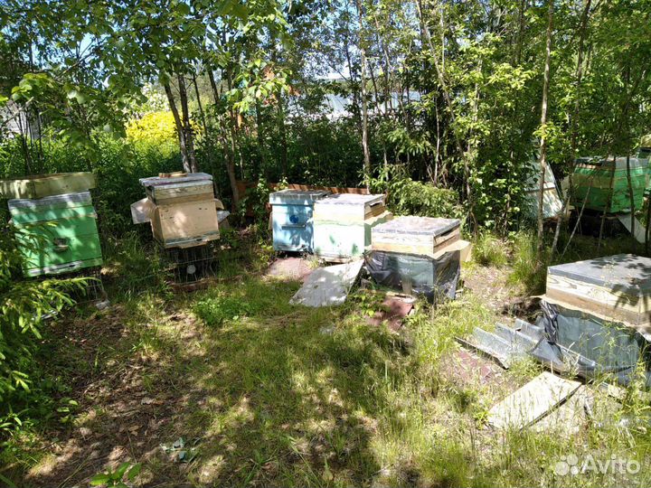 Все для Пасеки