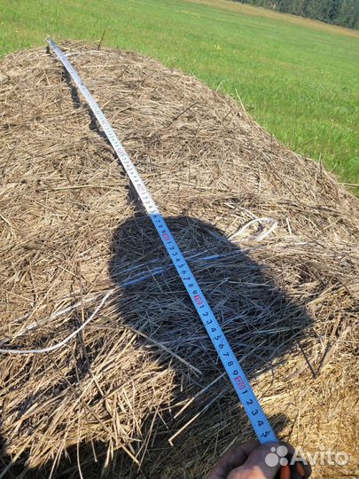 Сено в тюках