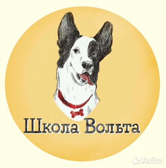 Дрессировка собак кинолог