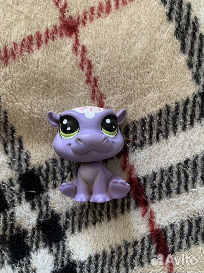 Littlest Pet Shop бегемот
