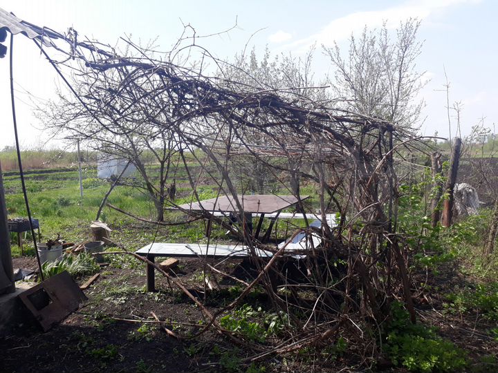 Дом 50 м² на участке 40 сот.