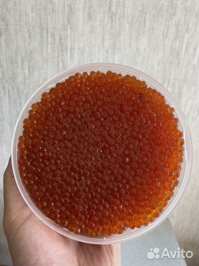 Красная икра