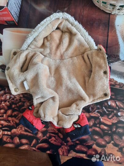 Костюм для собаки