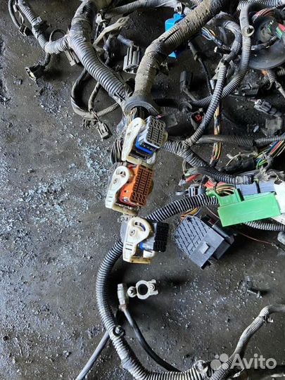 Проводка двс Ford Focus 2 (DB) 2008-2011г DB