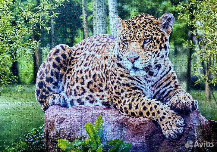 Пазлы разных производителей