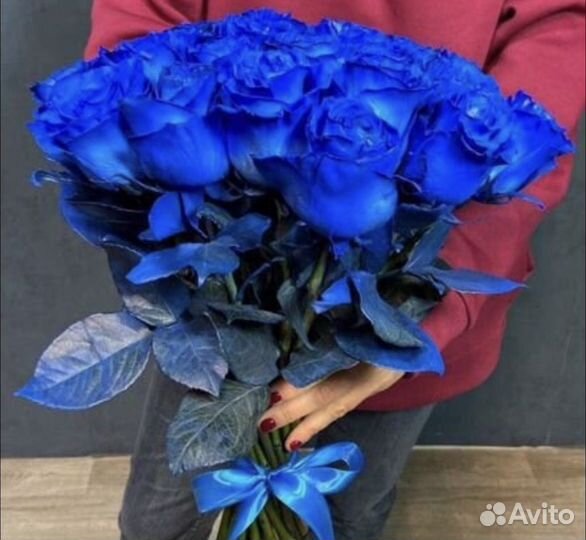 Синие розы цветы