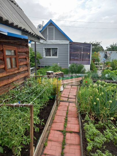 Дача 31 м² на участке 5,1 сот.