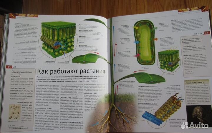 Шикарный подарок - книга 