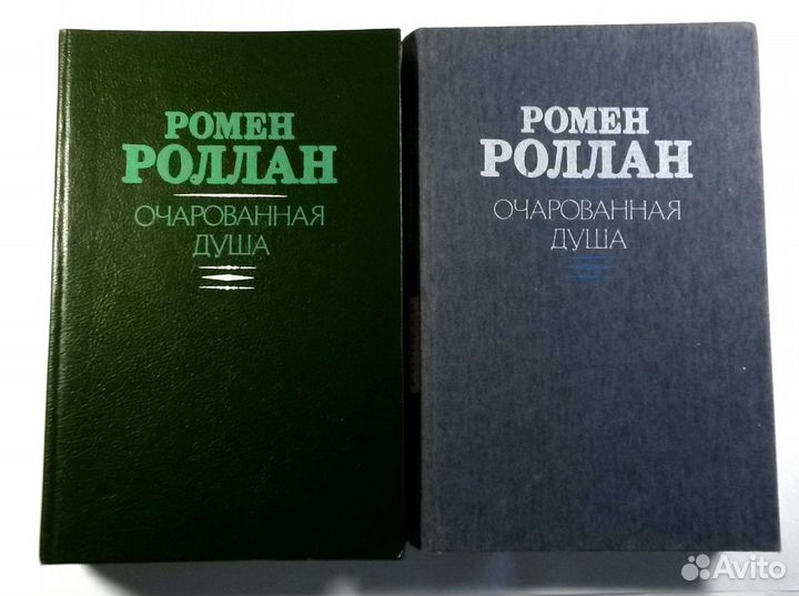 Книги русских и зарубежн.авторов(Доде,Гете,Фет