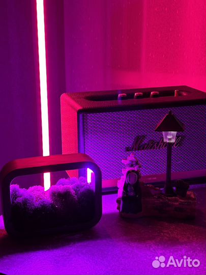 Колонка Marshall Acton 2