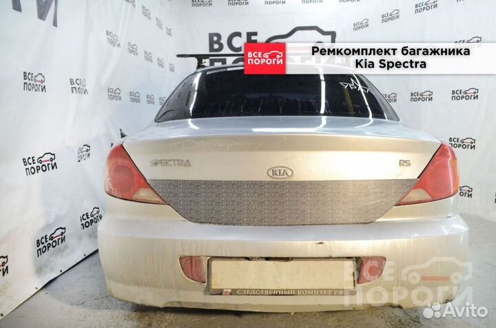 Kia Spectra боковые пенки