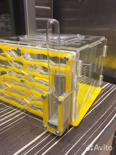 Муравьиная ферма