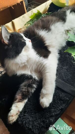 Мальчик очень ласковый