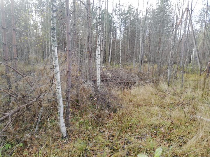 Участок 13 сот. (СНТ, ДНП)