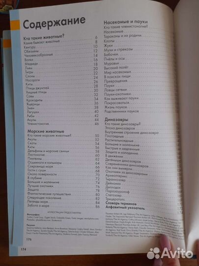 Животные лучшая энциклопедия для малышей