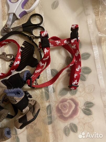 Аксессуары для кошек и собачек