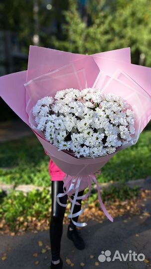 Букет гигант из ромашек (хризантемы)