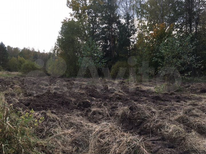 Участок 6 сот. (СНТ, ДНП)