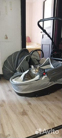 Коляска verdi 3 в 1