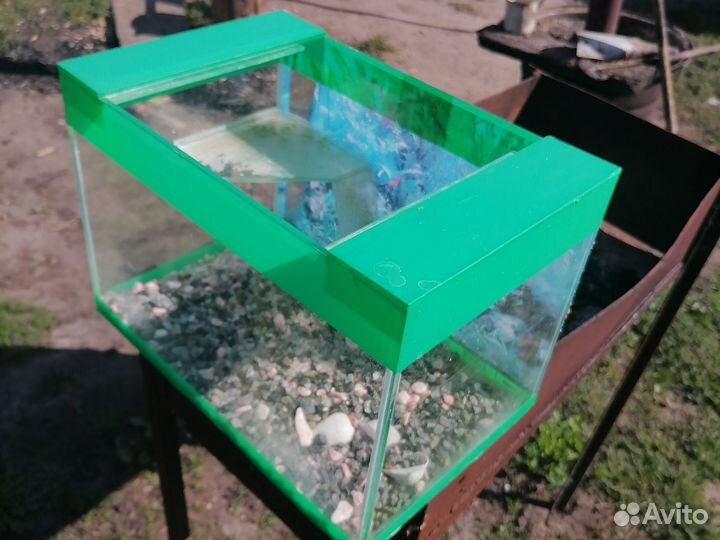 Аквариум 20 литров