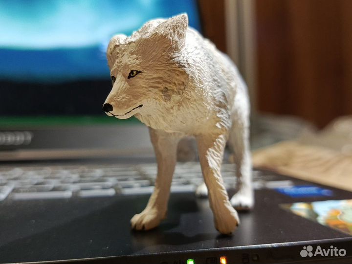 Кастомы на Заказ