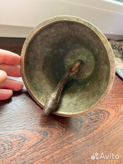 Колокольчик поддужный большой