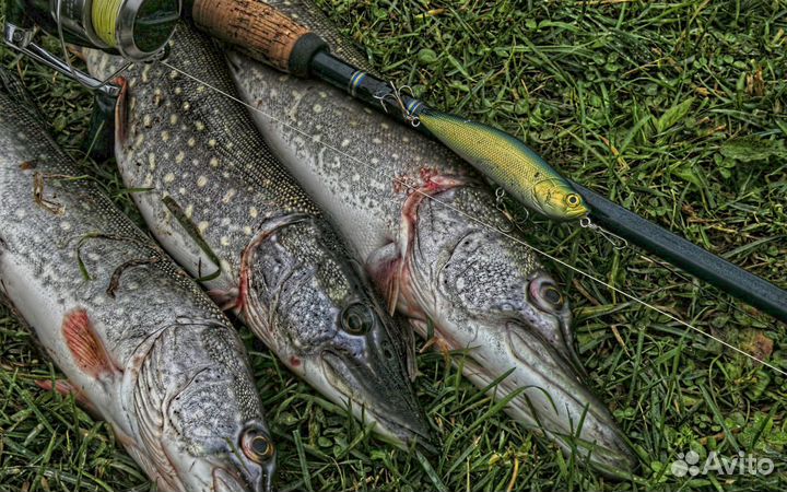 Рыболовные снасти
