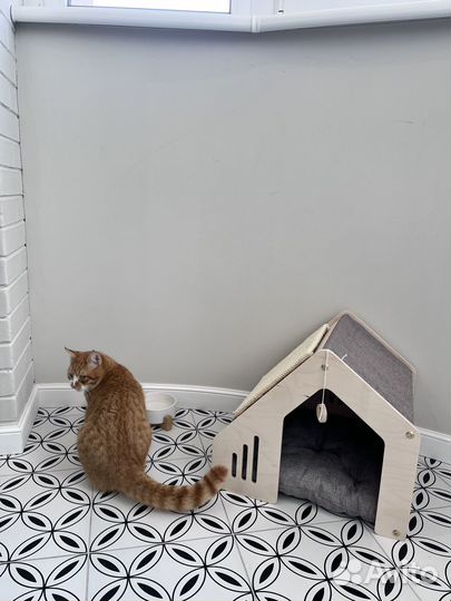 Домик для кошки с когтеточкой бу