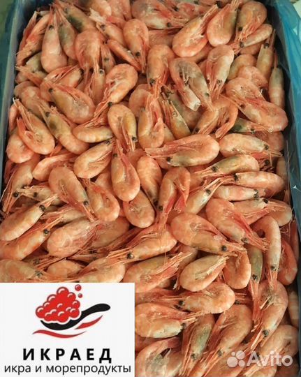 Креветки Северные 70 90 оптом