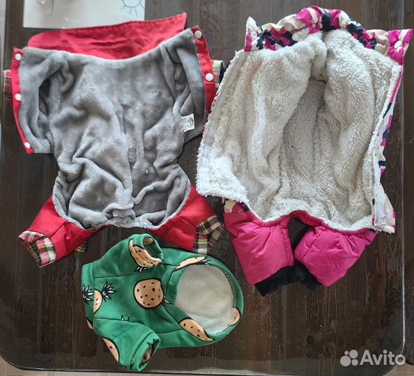 Одежда для маленьких собак