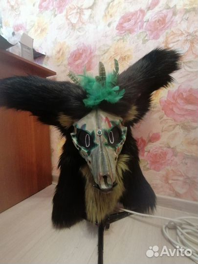 Фурсьют скалл дог