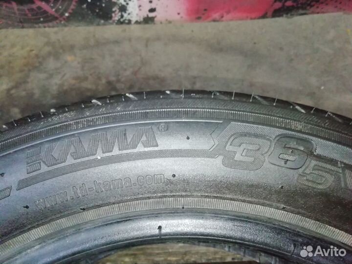 КАМА 365 (241) 205/55 R16