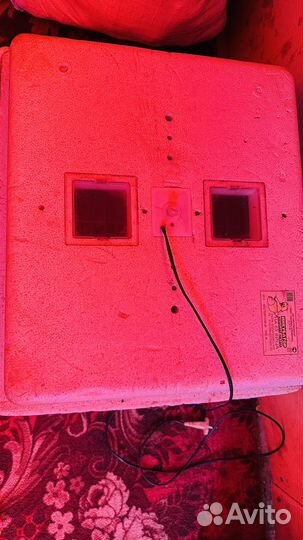 Инкубатор для яиц