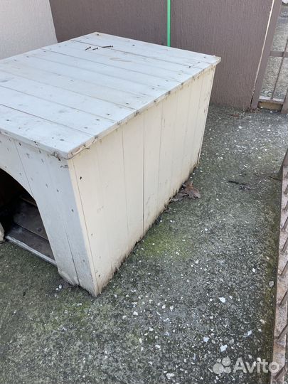 Собачья будка