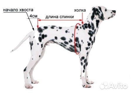 Зимний комбинезон для собак, 40 см спина, мальчик