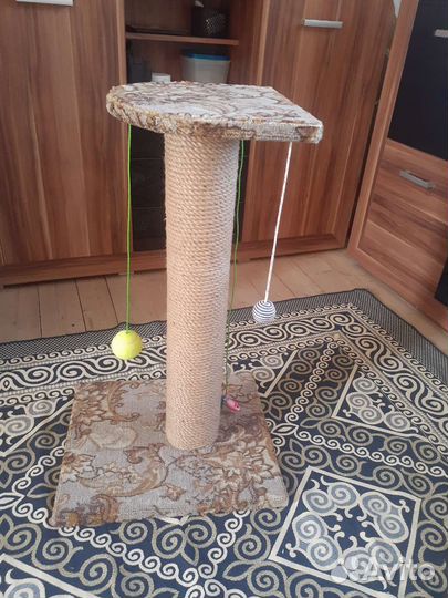 Когтеточка