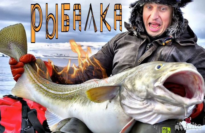 Рыбалка на треску