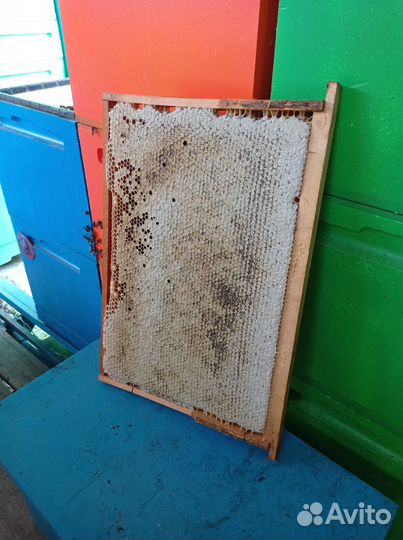 Продам мед оптом