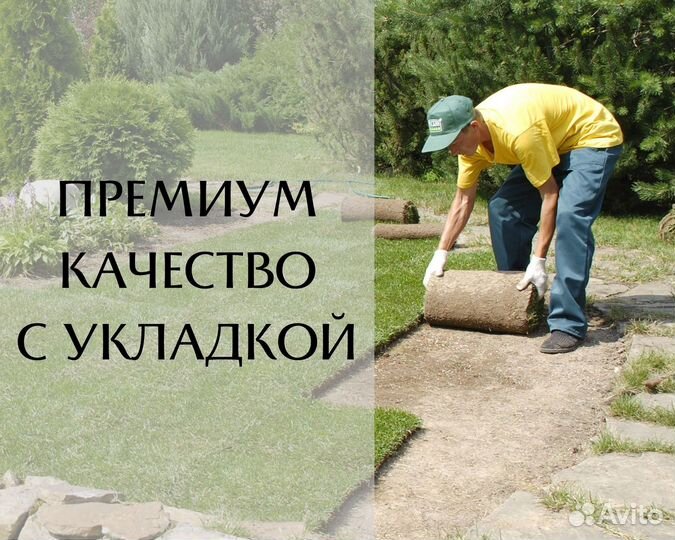 Рулонный газон с доставкой