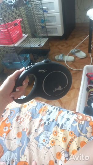 Ошейник для собак