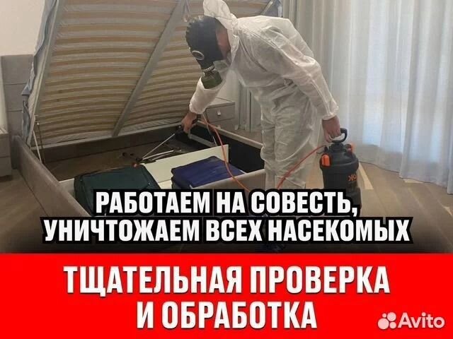 Уничтожение тараканов, клопов, клещей, муравьев