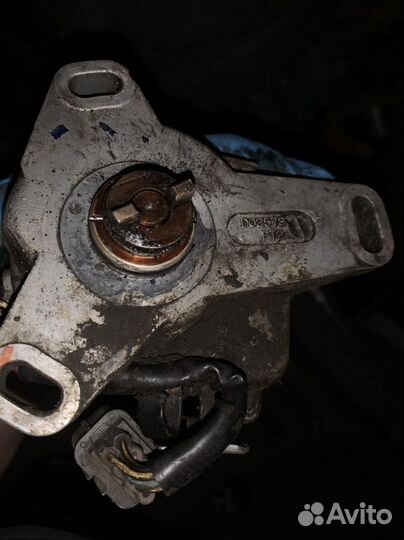 Трамблёр сир