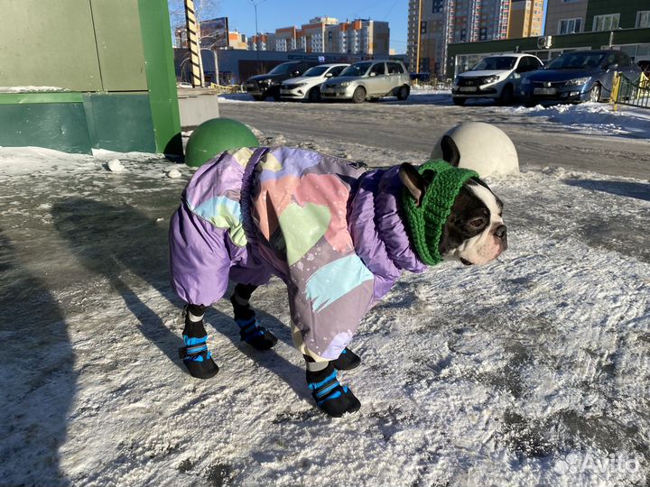 Зимний комбинезон для собаки девочки
