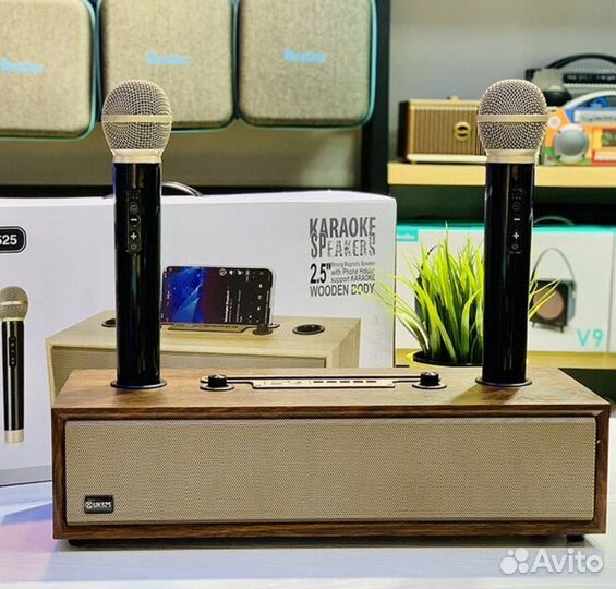 Караоке система с двумя микрофонами новая
