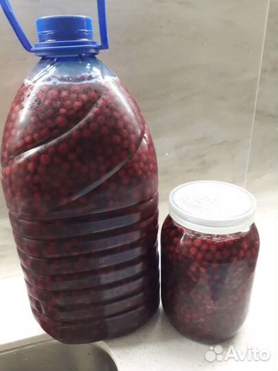 Брусника, Клюква