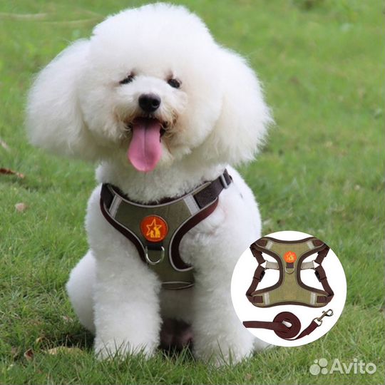 Шлейка и поводок для собак