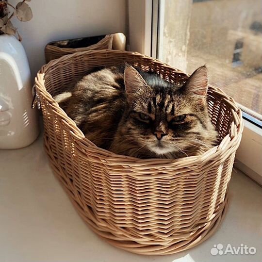 Плетеная корзинка-лежанка для кота