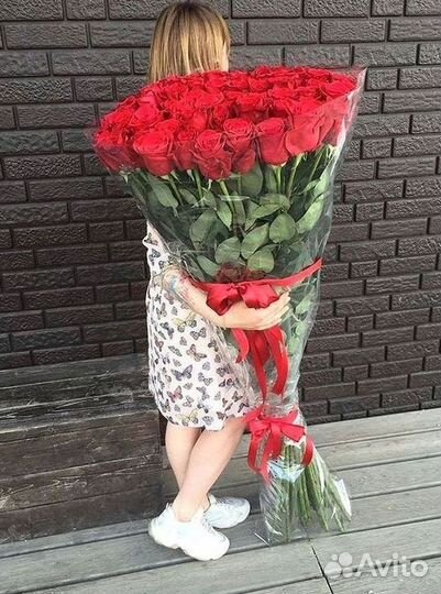 Высокие розы